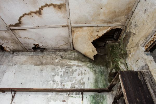 Cost of Water Damage Service in Laguna Niguel
