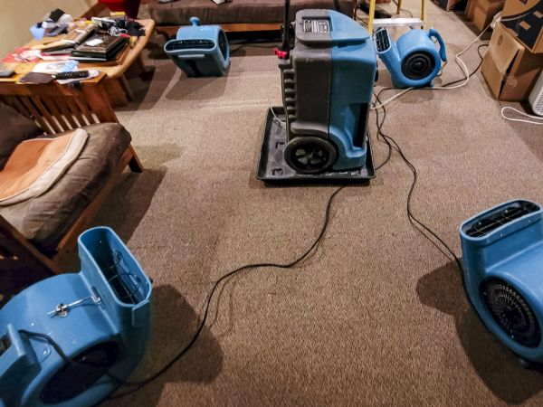 Cost of Flood Damage Recovery in Laguna Niguel
