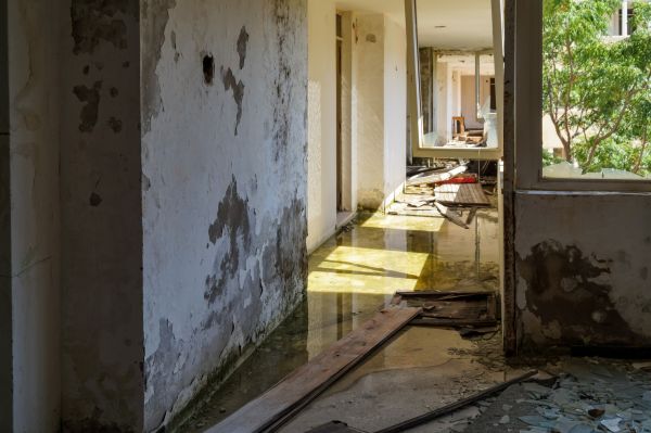 Cost of Water Removal Service in Laguna Niguel