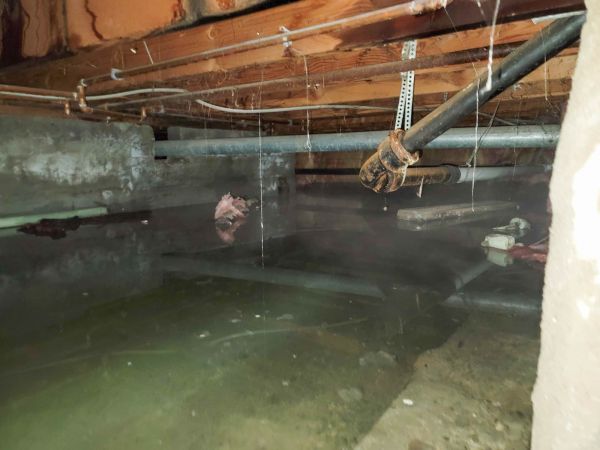 Cost of Water Mitigation Service in Laguna Niguel