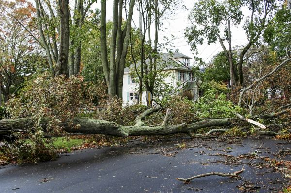 Cost of Tornado Damage Repair in Laguna Niguel