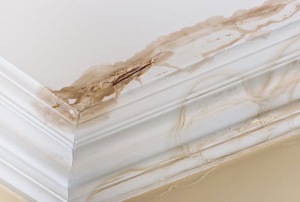 Cost of Water Damage Recovery in Laguna Niguel